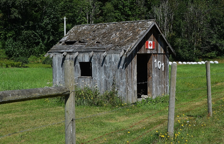 little shack